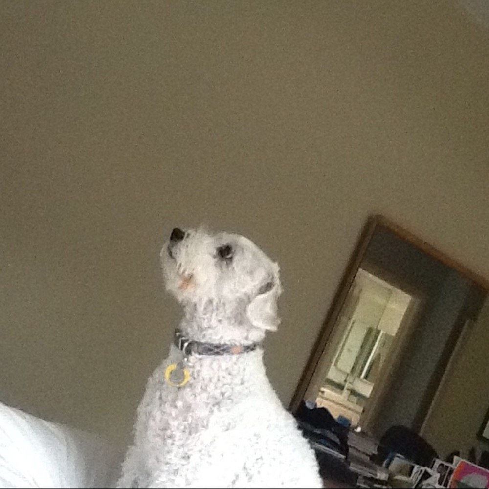 Meet your Posher, Maria